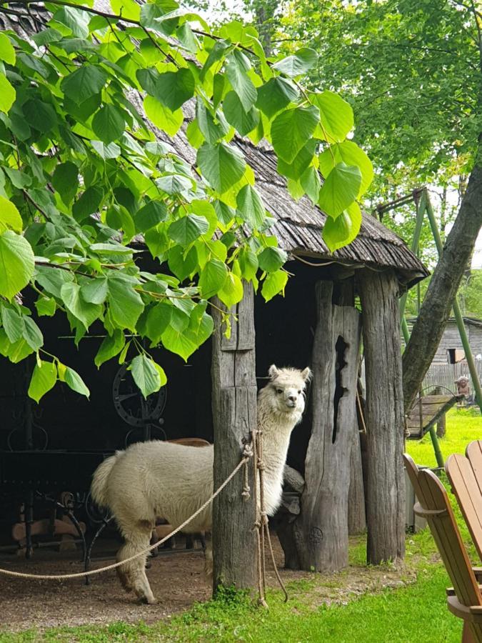Pensjonat Vienkiemis Kretynga Zewnętrze zdjęcie
